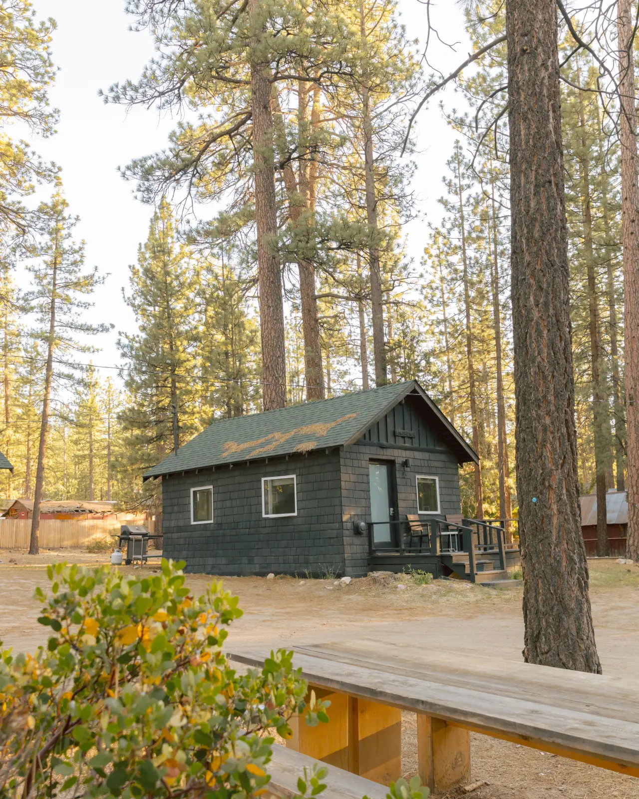 Small + Mighty / C5 cabin exterior with front porch under the pines at Colorado Lodge boutique lodge in Big Bear Lake