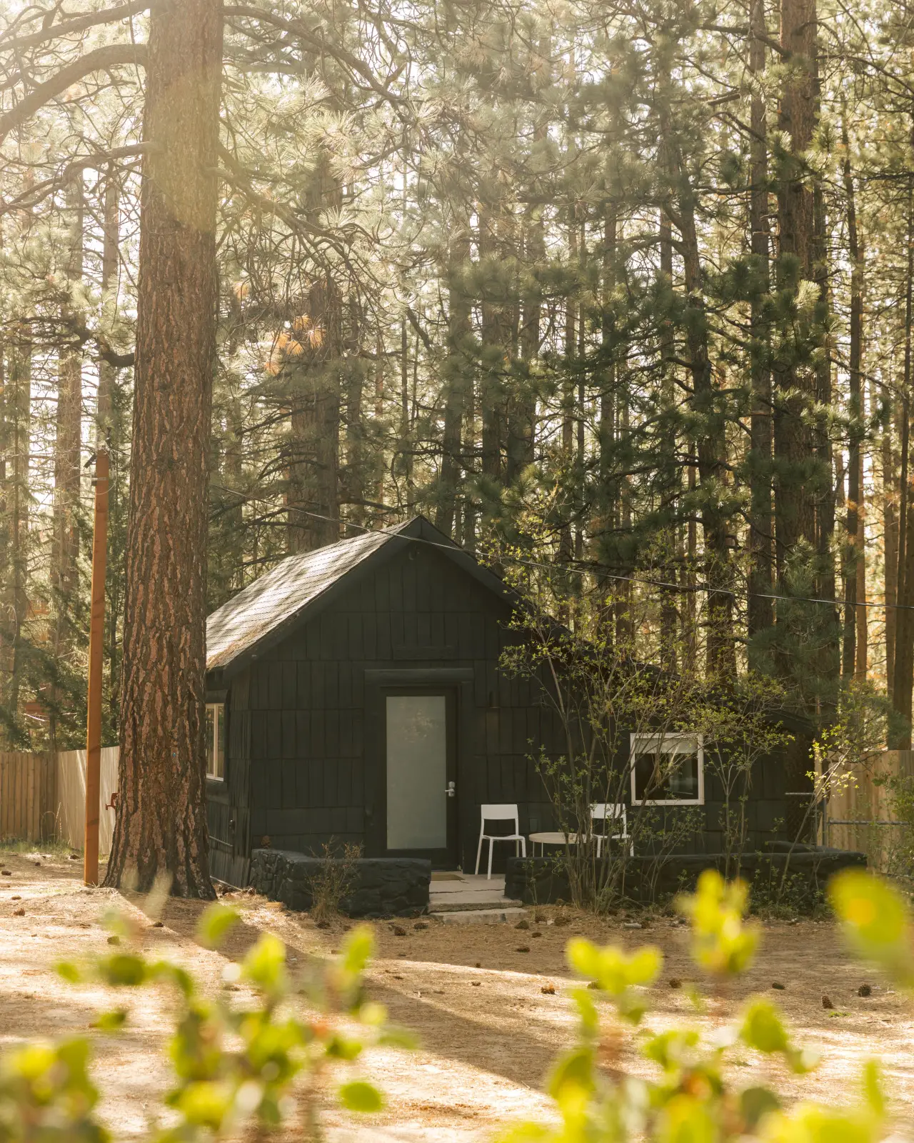 The Place Beyond The Pines / C6 cabin exterior at Colorado Lodge boutique lodge in Big Bear Lake