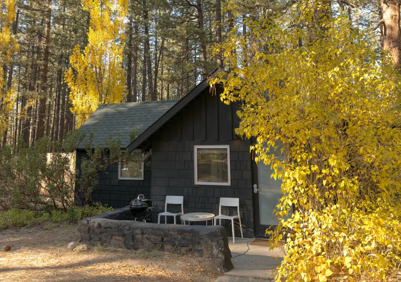 Nocturnal Beauty / C7 black cabin exterior with front porch nestled among the pines at Colorado Lodge boutique lodge in Big Bear Lake