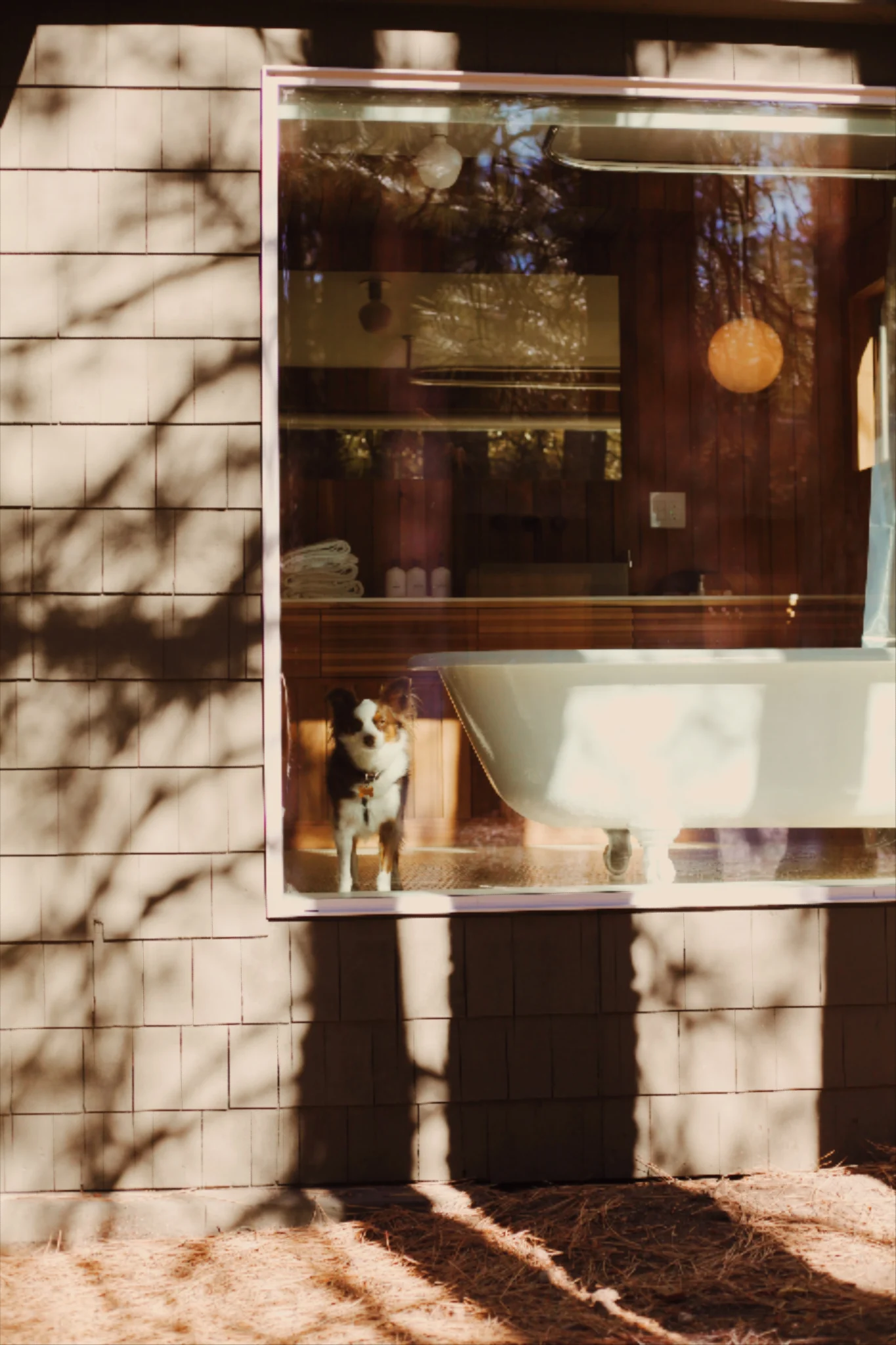 The Place Beyond The Pines / C6 pet-friendly cabin private fenced yard with fire pit at Colorado Lodge Big Bear Lake