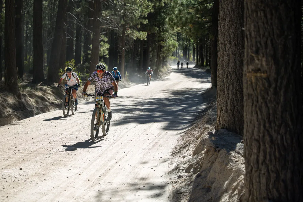 Mountain biker on forest singletrack during the Tour de Big Bear near Colorado Lodge boutique lodge in Big Bear Lake California