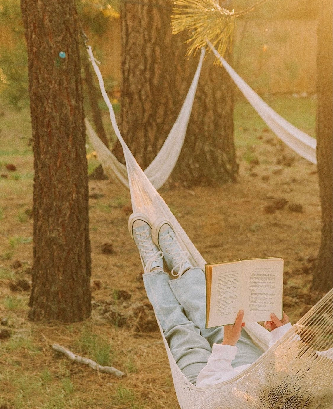 Hammock reading nook among the pines at Colorado Lodge in Big Bear
