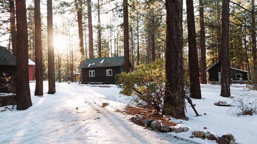 Snow covered dark wood cabins among tall pine trees at Colorado Lodge in Big Bear Lake, from the Dezeen feature