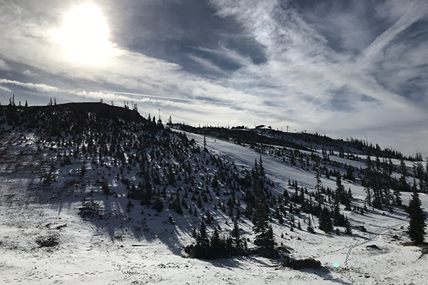 Snowy ski slopes and pine trees at Big Bear in winter, from the San Diego Family Magazine travel guide